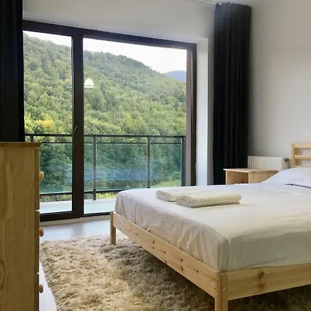Nature View Apartment Brasov